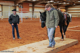 Horse Jumping