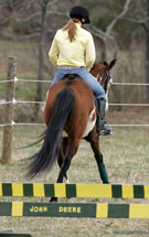 Rider